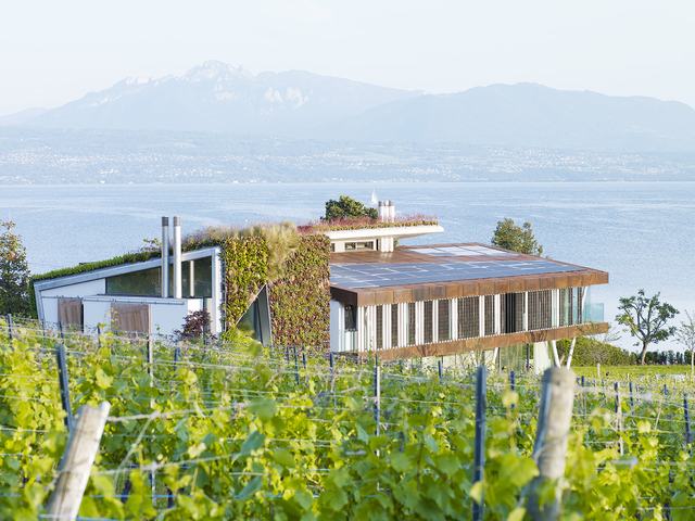 La villa dans les vignes face au lac et aux Alpes